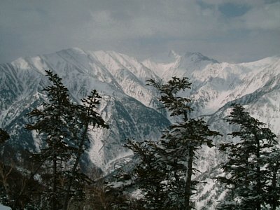 03.jpg