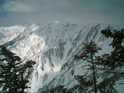 04.jpg