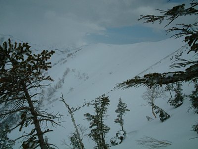 05.jpg