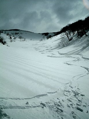 06.jpg