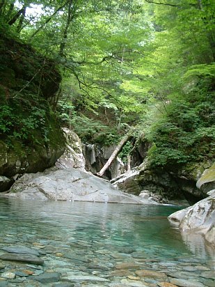 dscf0011.01.jpg