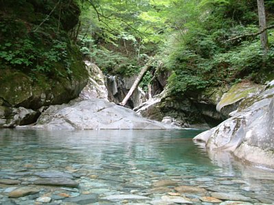 dscf0012.jpg