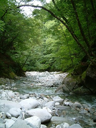dscf0013.01.jpg