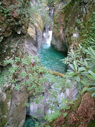 dscf0020.01.jpg