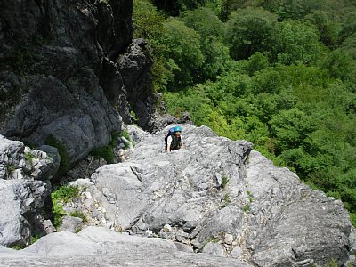 04.jpg