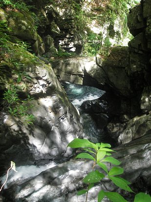 05.jpg