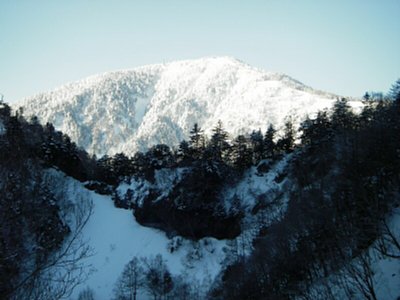 01.jpg