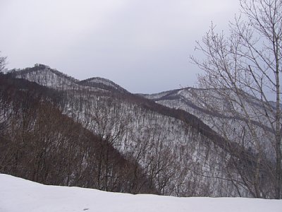 0603takabi0018.jpg