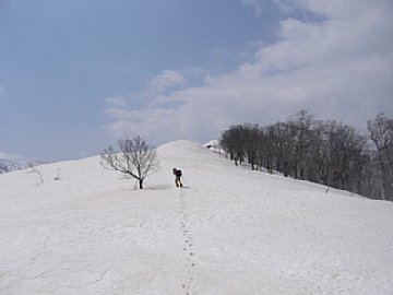 60.jpg