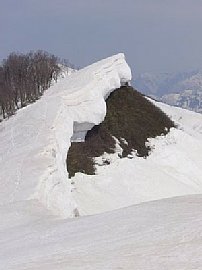 68.jpg