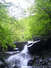 0605tosaka0015.jpg