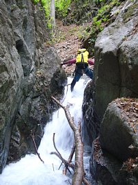 0605sukai0146.jpg
