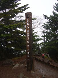 0605sukai0222.jpg