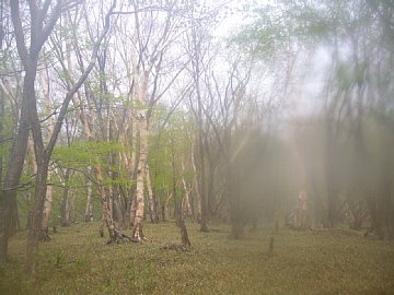 0605sukai0225.jpg