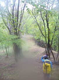 0605sukai0228.jpg