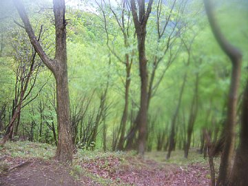 0605sukai0234.jpg