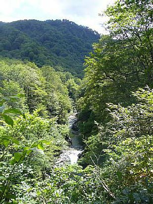 _0609yakuwa0005.jpg