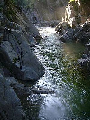 _0609yakuwa0039.jpg