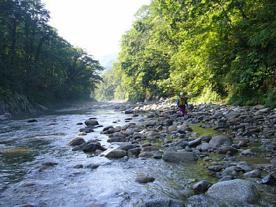 _0609yakuwa0046.jpg