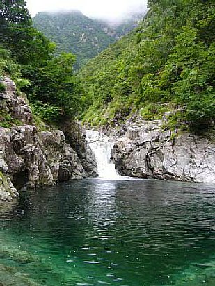 _0609yakuwa0240.jpg