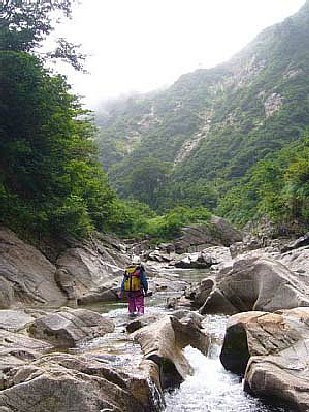 _0609yakuwa0278.jpg