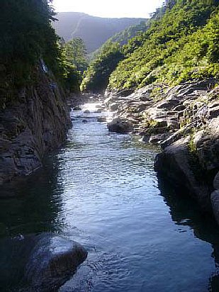 _0609yakuwa0293.jpg