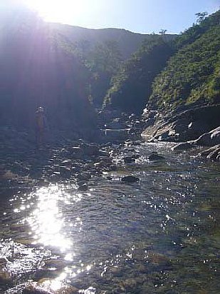 _0609yakuwa0297.jpg