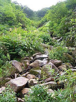 _0609yakuwa0363.jpg