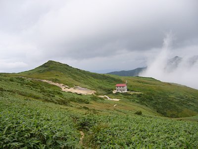 _0609yakuwa0387.jpg