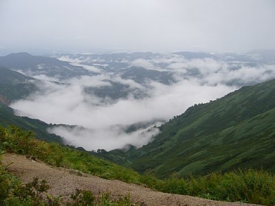 _0609yakuwa0396.jpg