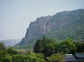 ni-doru01.jpg