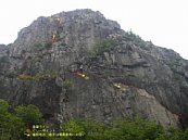 umekoba14.jpg