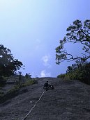 yakasima08.jpg