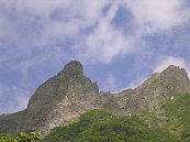 daidousin01.jpg