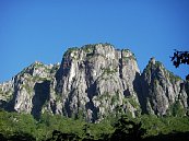 tyuumon01.jpg
