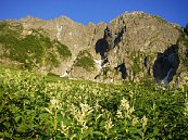 okumata03.jpg