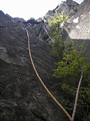 umekoba05.jpg