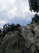 tyouwwa05.jpg