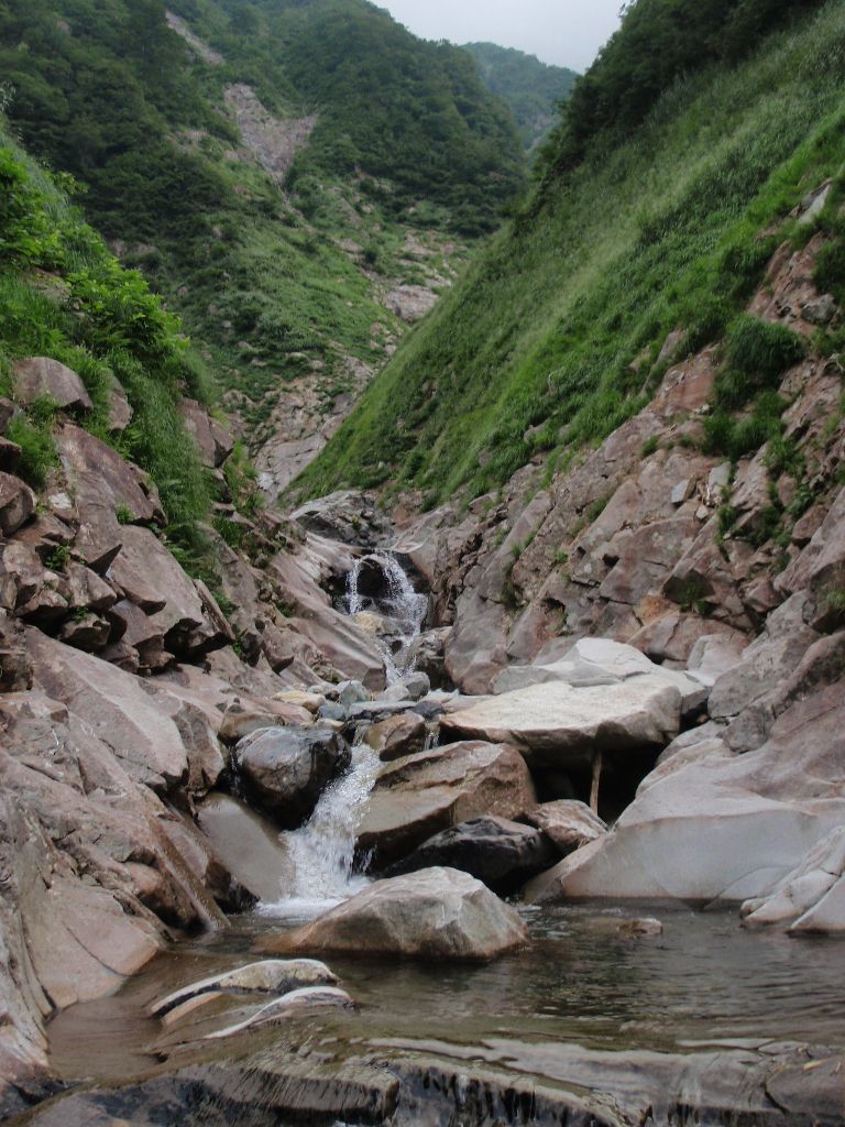 VĴ悤