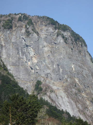 䍂