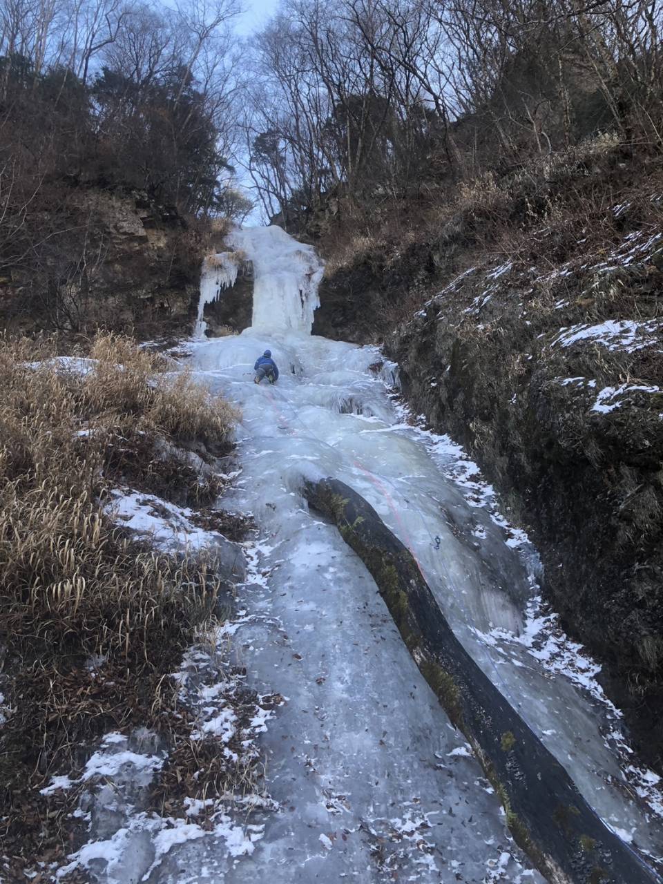 カモシカルンゼをリードする渡邉