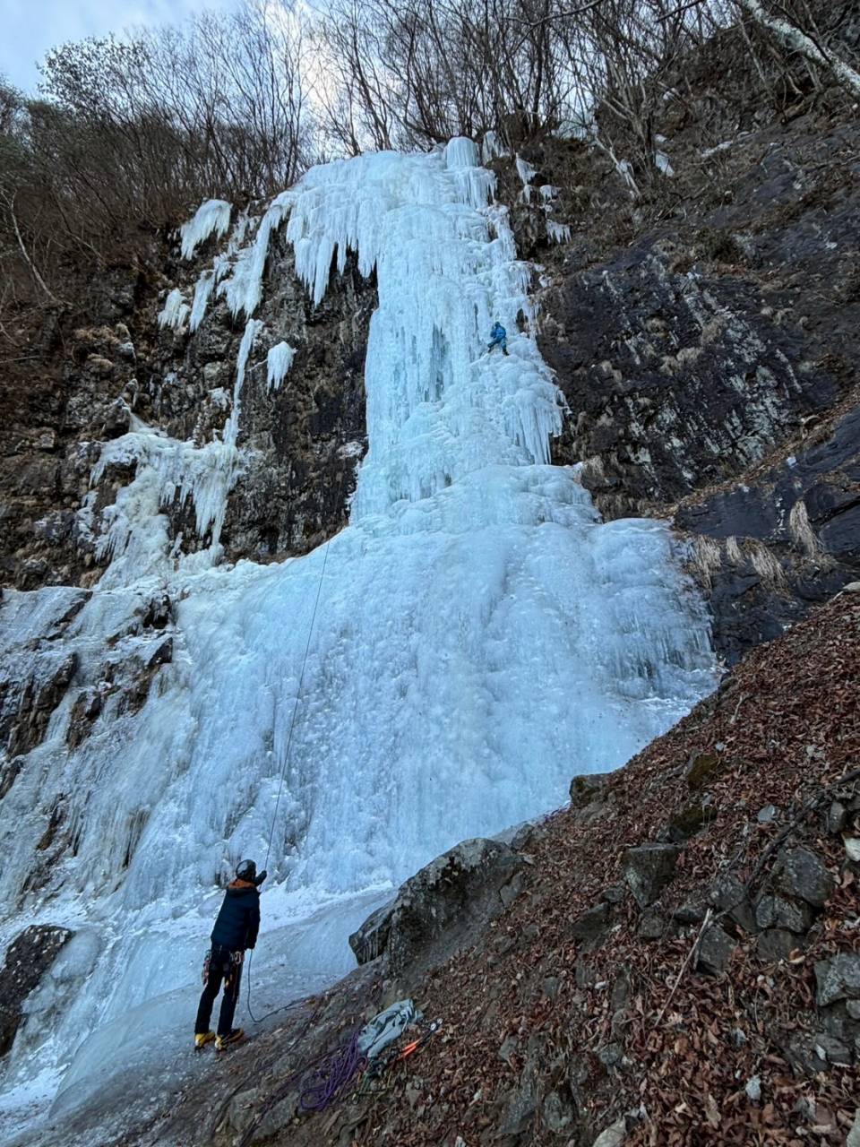 ���򉜕Ǒ�X��