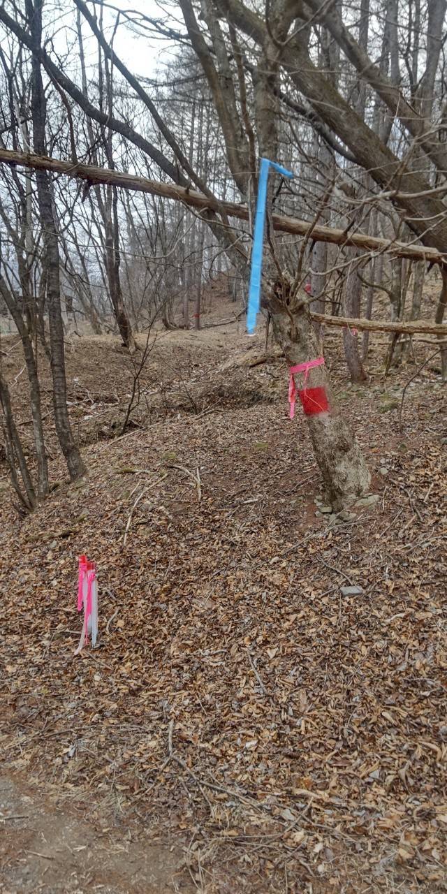 �J�u�R�������ʓ��ݐՂ̓�����H