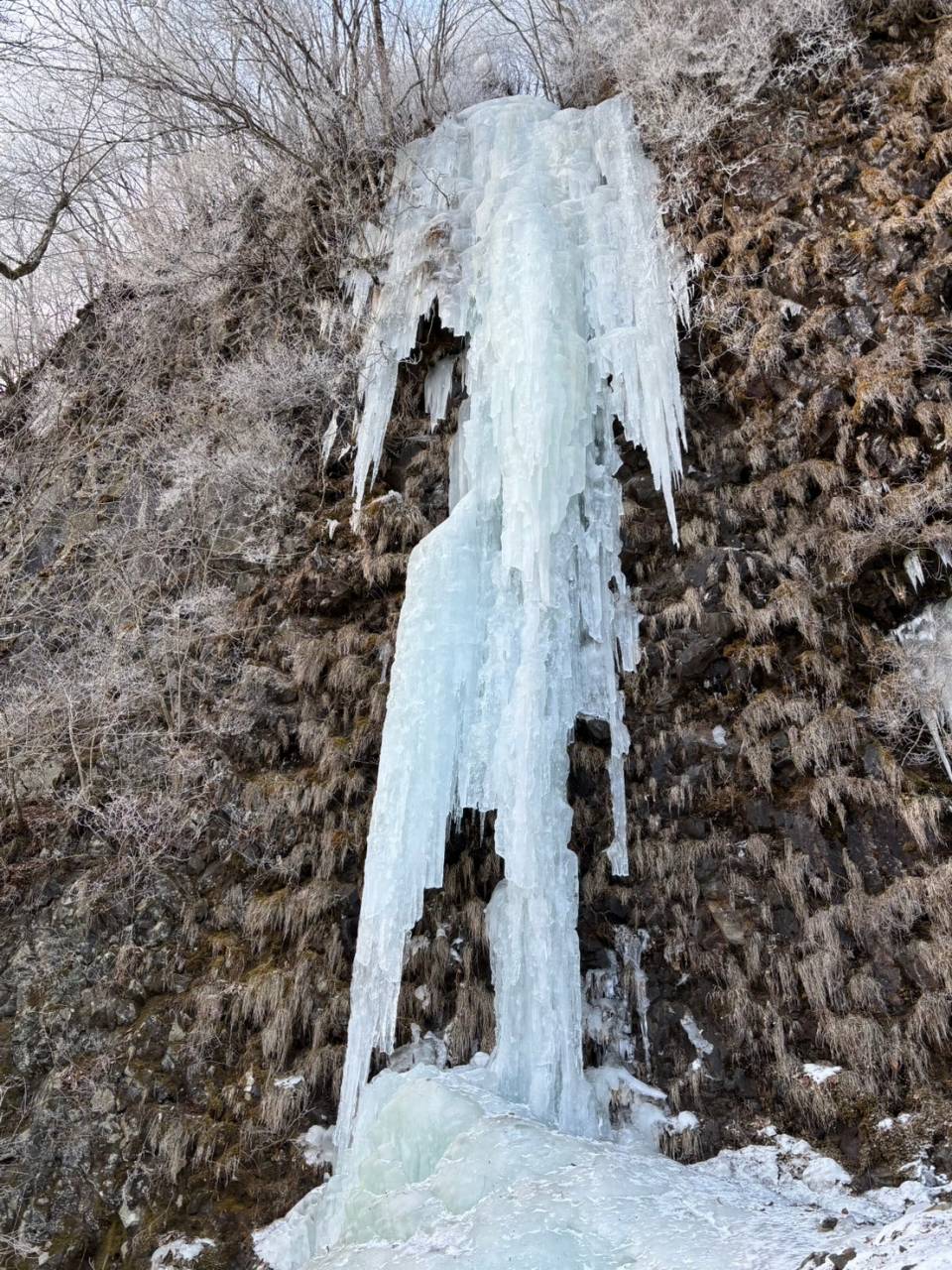 �J�u�R����